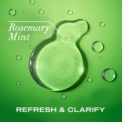 OGX Rosemary Mint Champú aplicado en cabello húmedo para una limpieza refrescante.