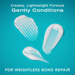 OGX packaging close-up emphasizing sulfate- and parabens-free formula.