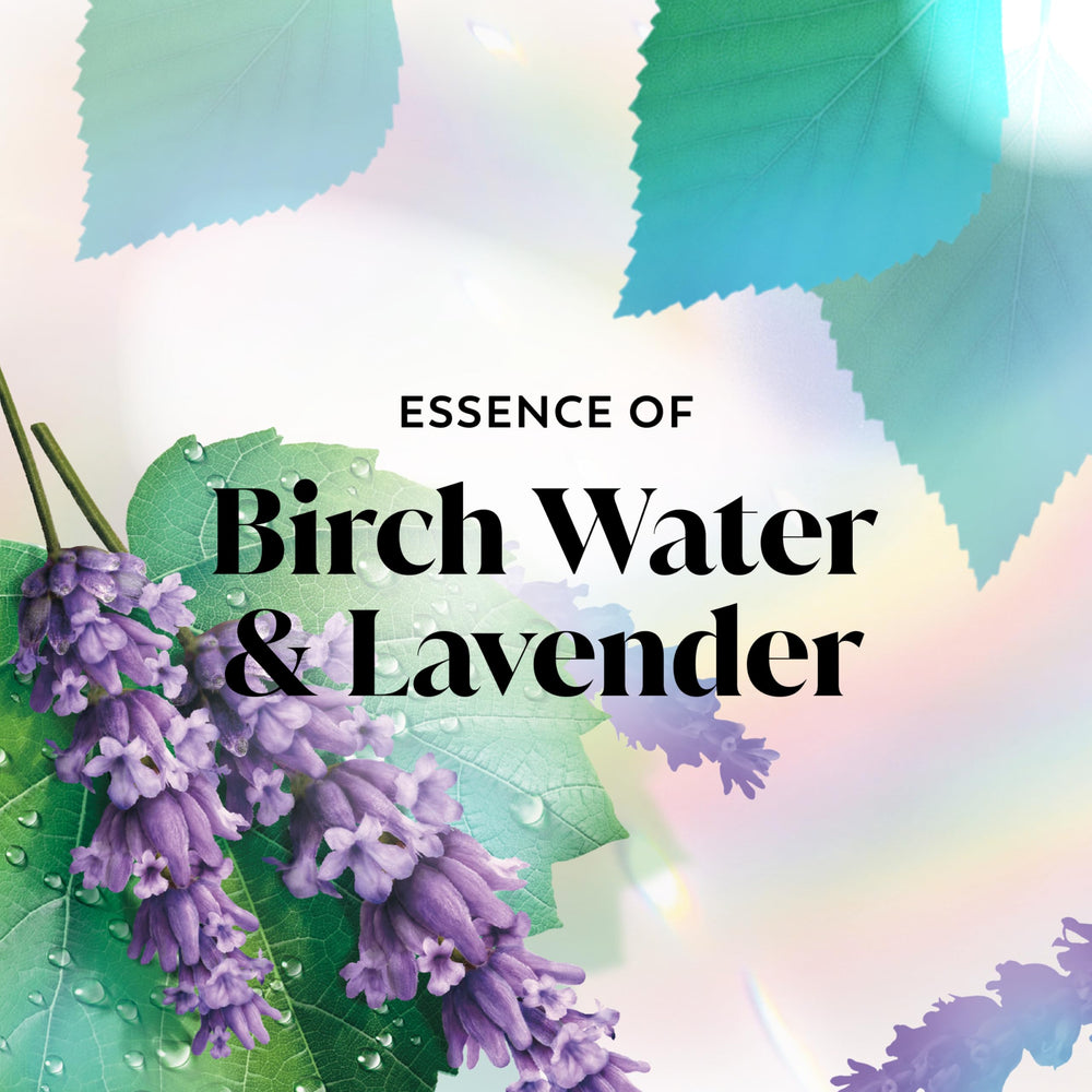 Olay Birch Water Lavender bathroom stand shows product presence on shelf.