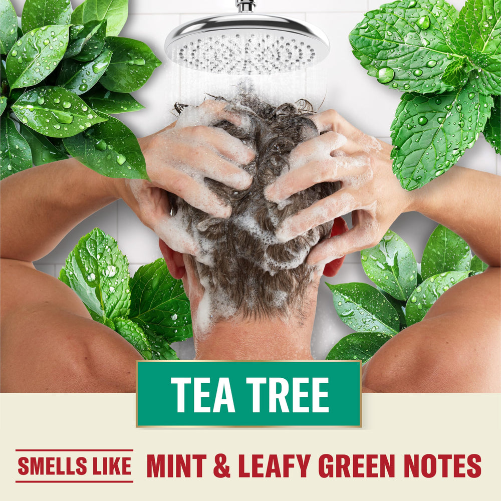 Aroma mentolado de Old Spice Tea Tree Champú para hombres, ideal para despertar tus sentidos.