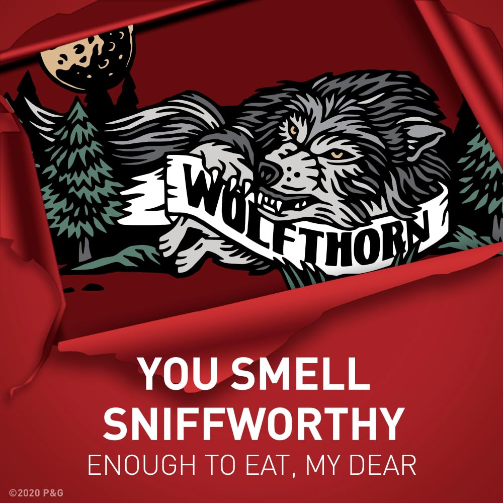 Four-pack display of Old Spice Wolfthorn for travel and gym use.