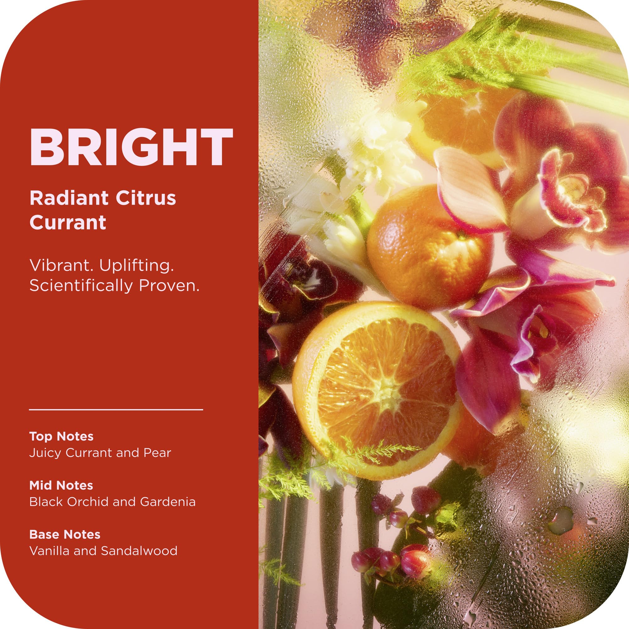 OLLY Bright Mood Body Wash lather demonstrates nourishing, gentle cleansing.