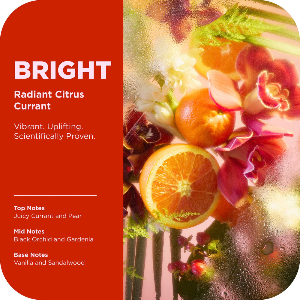 OLLY Bright Mood Body Wash lather demonstrates nourishing, gentle cleansing.