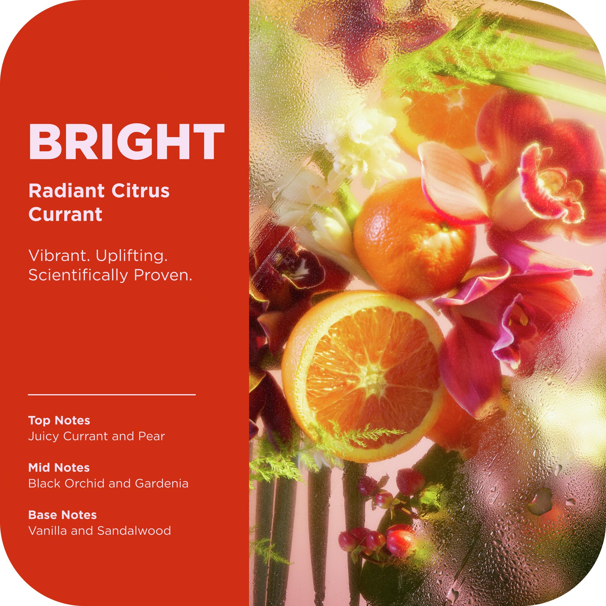 OLLY Bright Scrub textura cremosa que nutre durante la exfoliacion