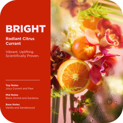 OLLY Bright Scrub textura cremosa que nutre durante la exfoliacion