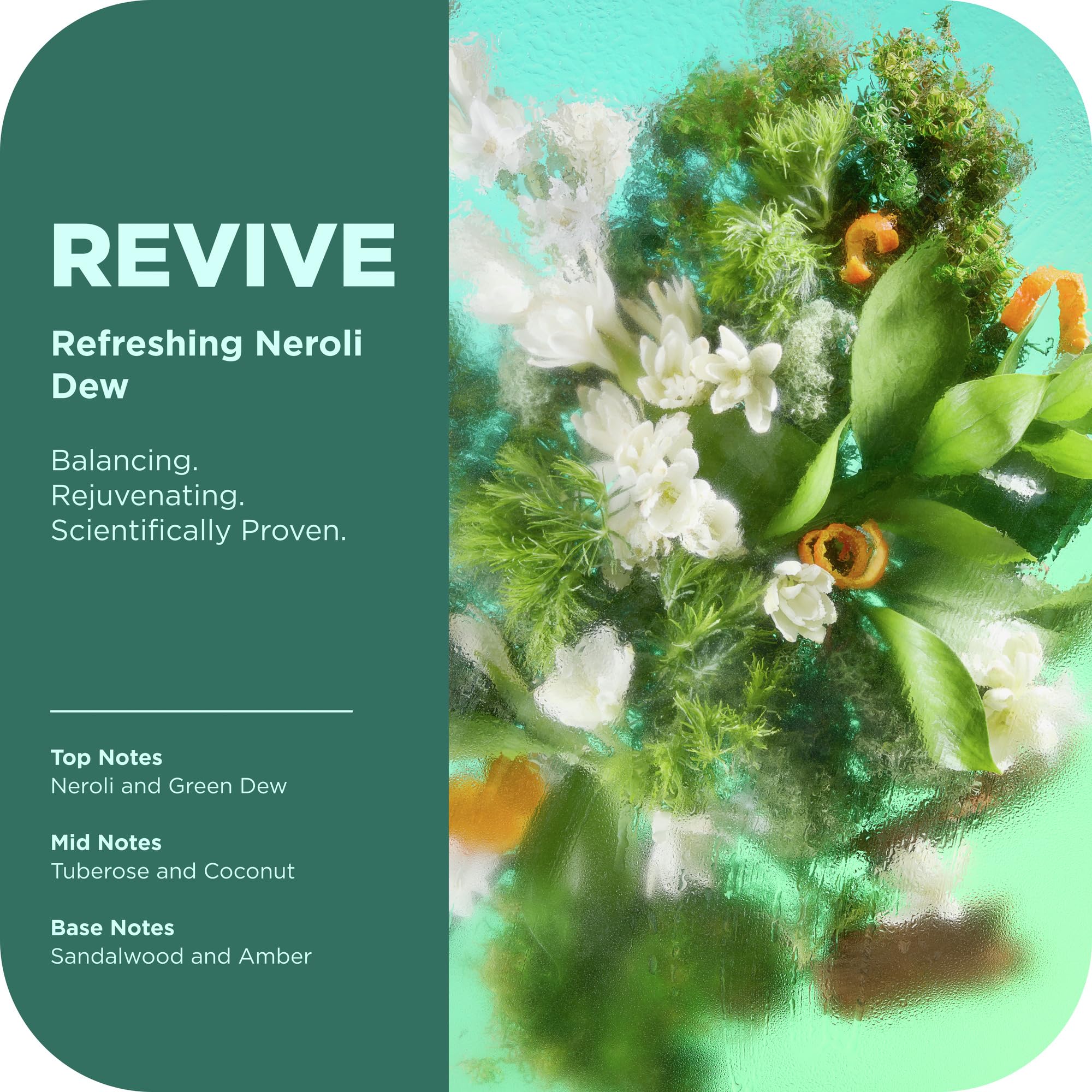 OLLY Revive foam lather demonstrates gentle cleansing that leaves skin soft.
