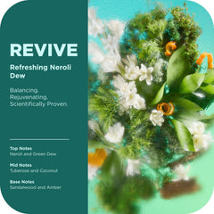 OLLY Revive foam lather demonstrates gentle cleansing that leaves skin soft.