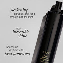Oribe Royal Blowout hair shine focus shows glossy, healthy-looking strands.