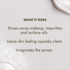 Origins Checks and Balances spearmint leaf close-up highlighting invigorating scent.