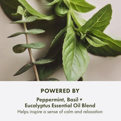 Exfoliating Body Scrub close-up showing Bamboo and Walnut Shell for smoother skin.