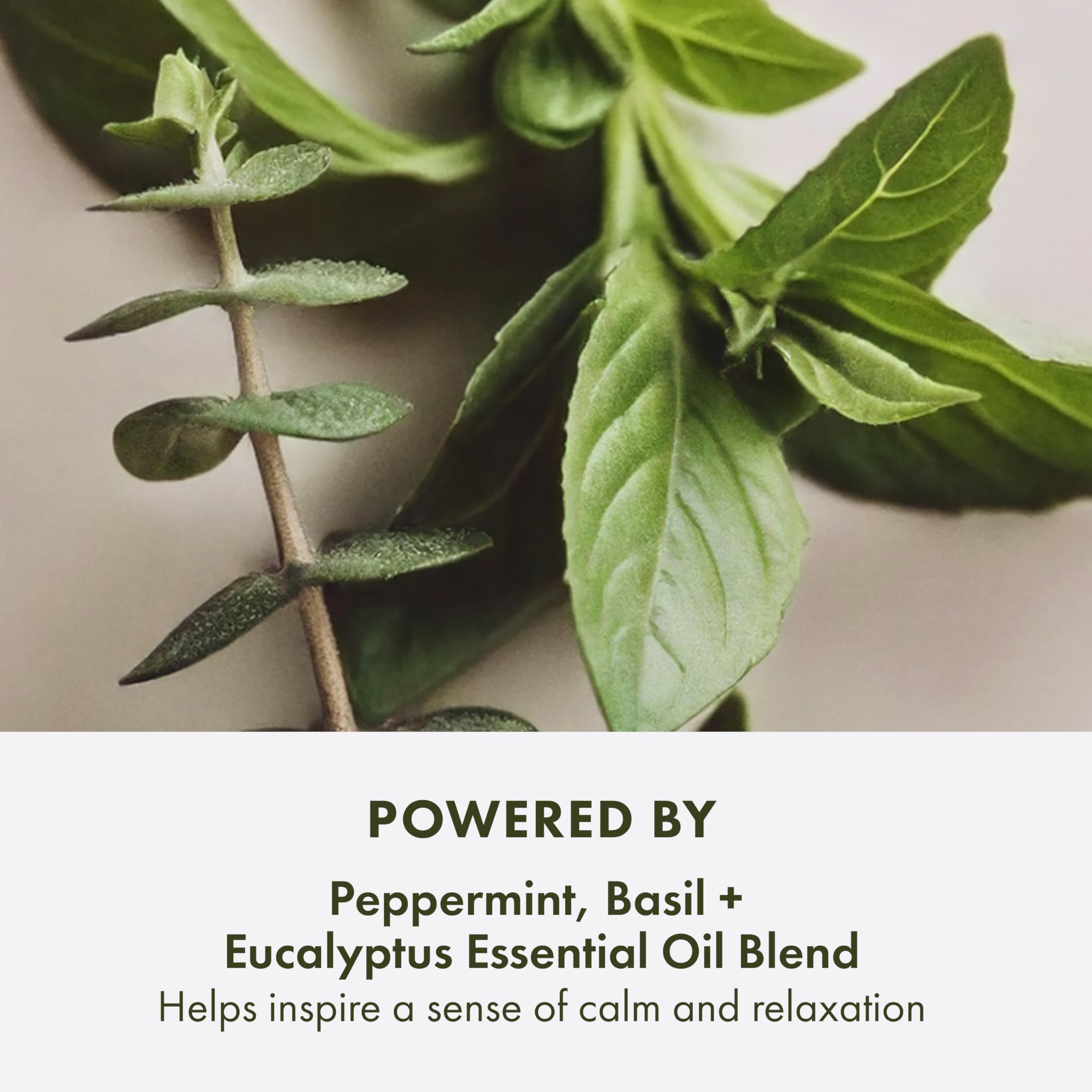 Origins ingredientes clave: menta, albahaca y eucalipto para calma.