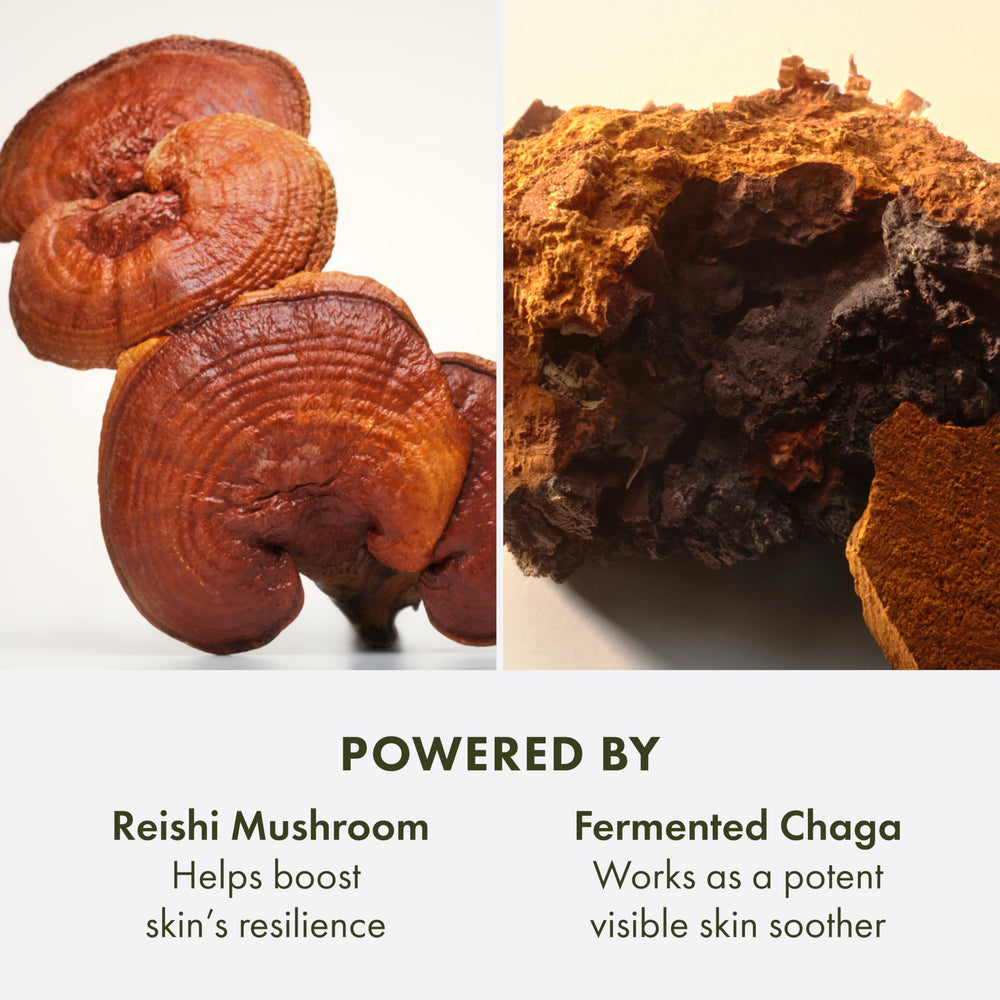 Origins Mega-Mushroom Relief ingredients graphic highlighting soothing components.