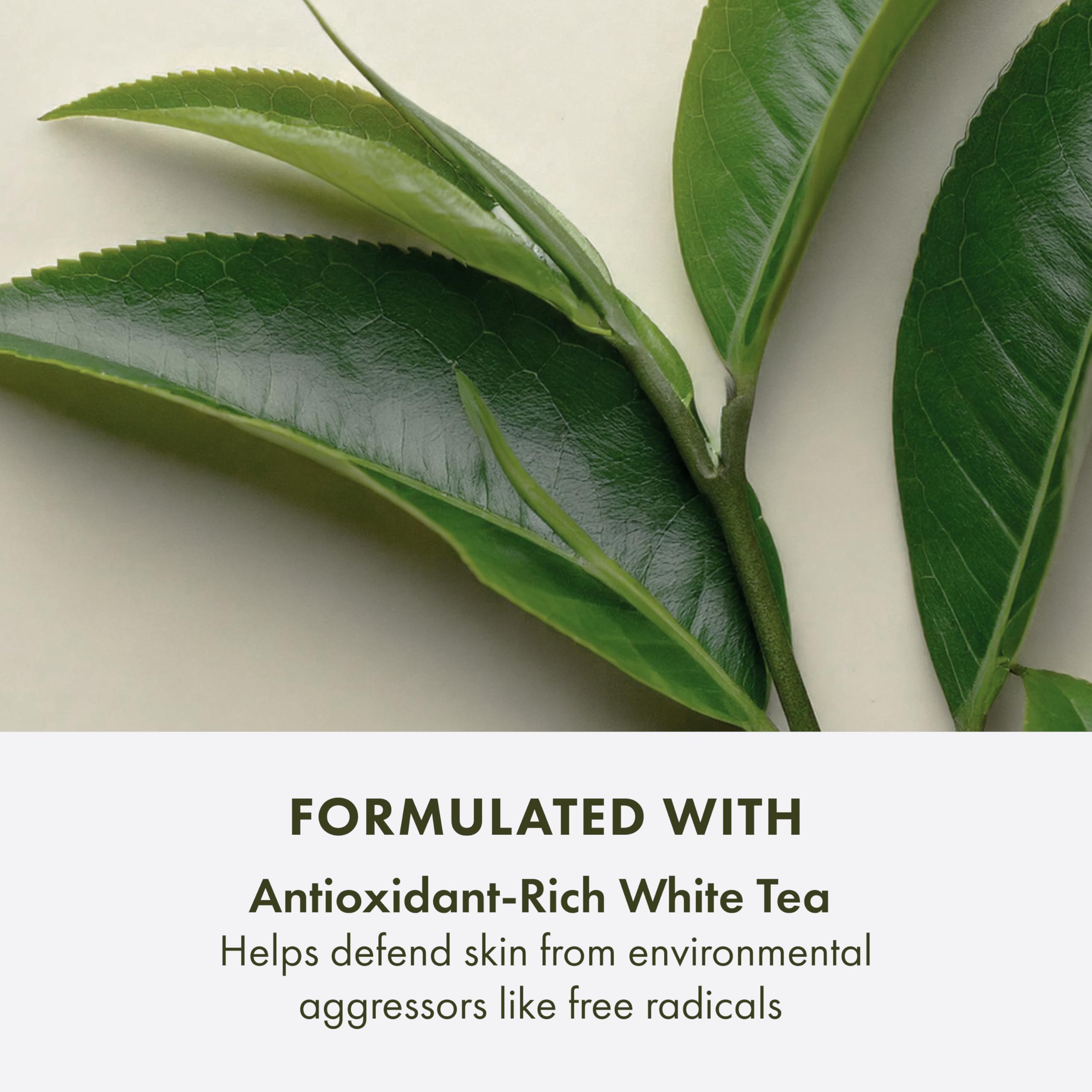 Origins A Perfect World moisturizer texture swirl emphasizes creamy consistency for smooth skin.