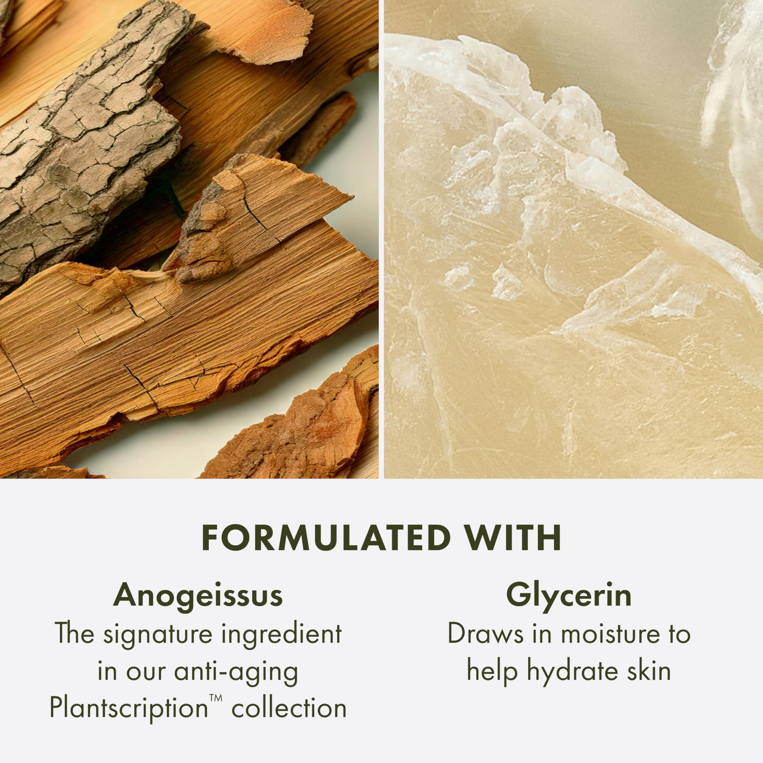 Origins Plantscription Anti-Aging Cleanser packaging emphasizes vegan and natural-derived formula.