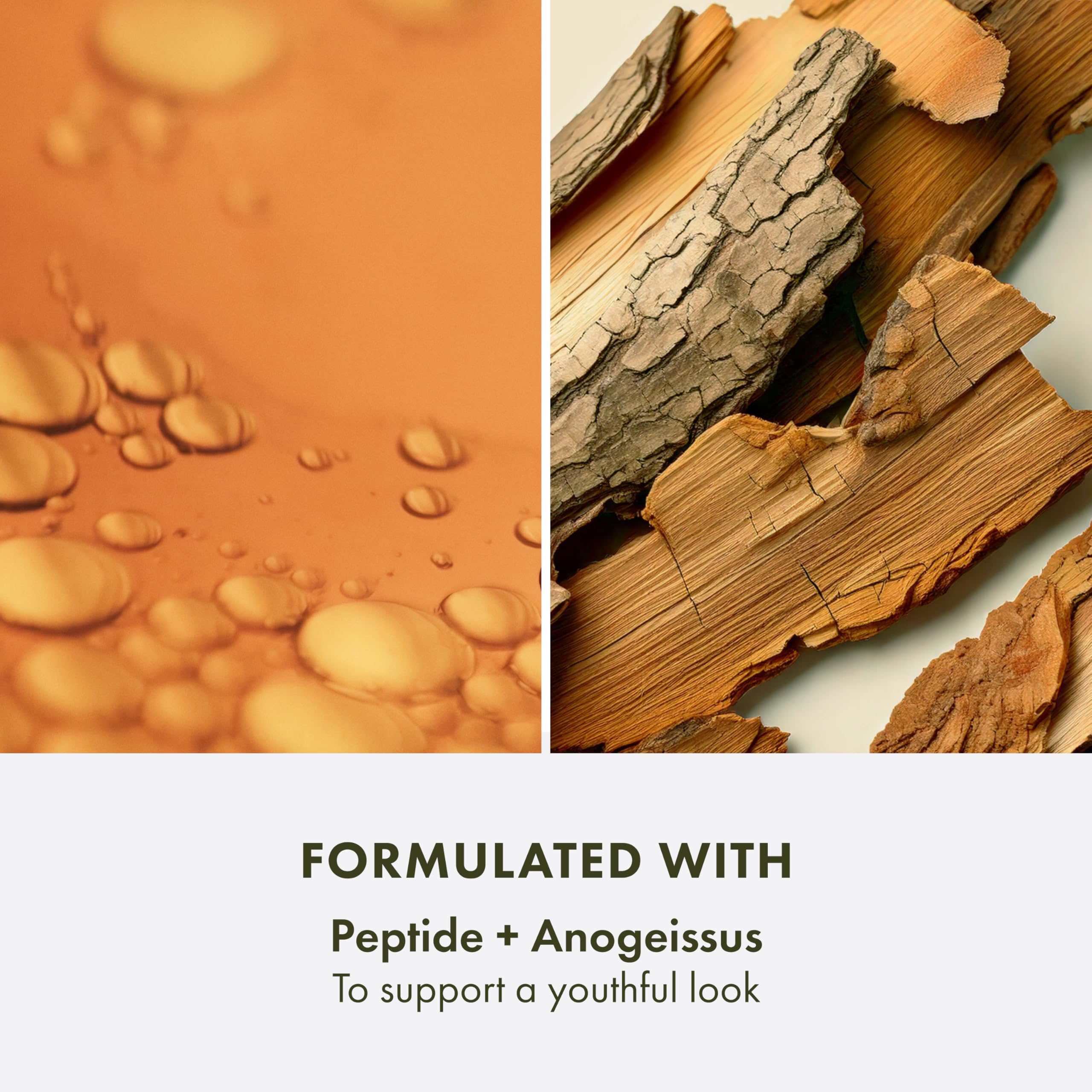 Origins Plantscription image focusing on brown algae anti-aging blend