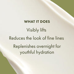 Origins Plantscription night cream ingredient focus on Anogeissus and youth-extenders.