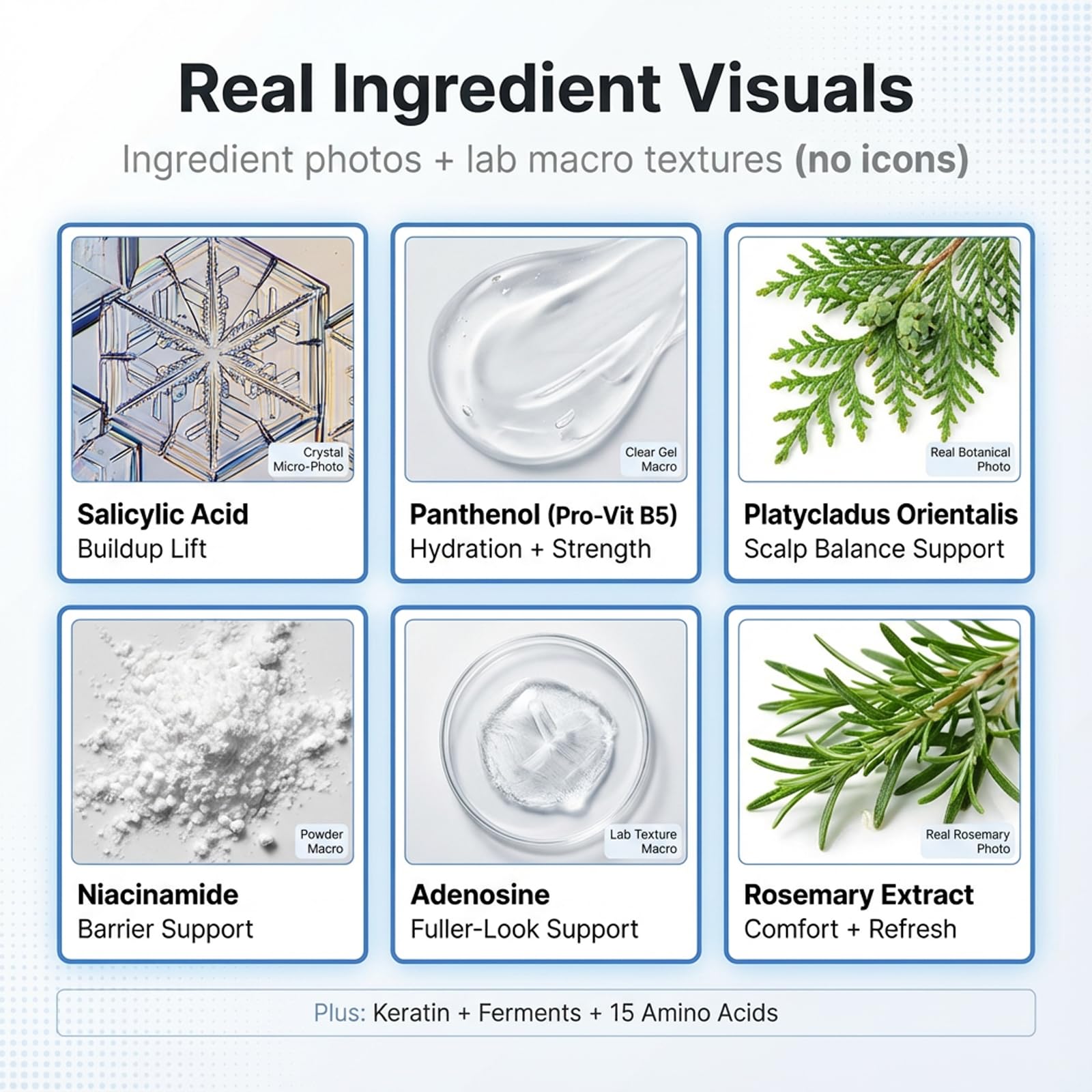 Orrnaturals pumpkin seed extract ingredient highlighted for nourishment