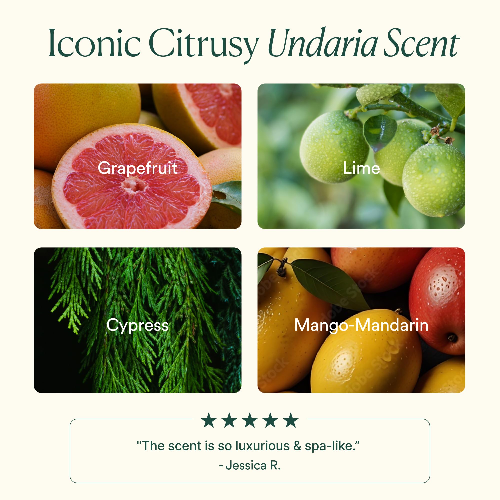 Label on OSEA Undaria Algae Body Butter highlights Undaria seaweed and ceramides.