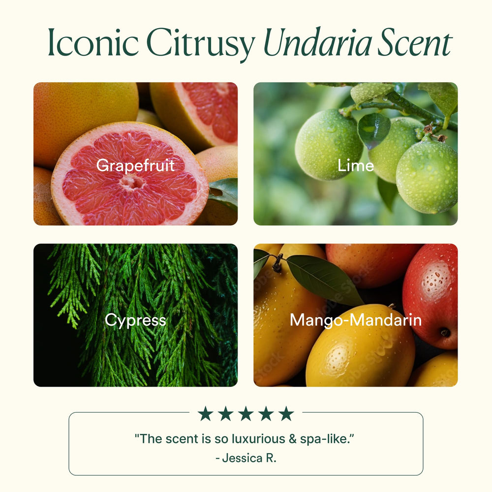 Label on OSEA Undaria Algae Body Butter highlights Undaria seaweed and ceramides.