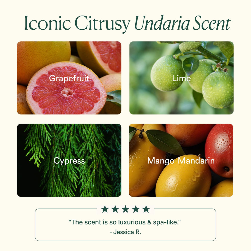 OSEA Undaria Algae Body Wash with aloe offers soothing hydration during cleanse.
