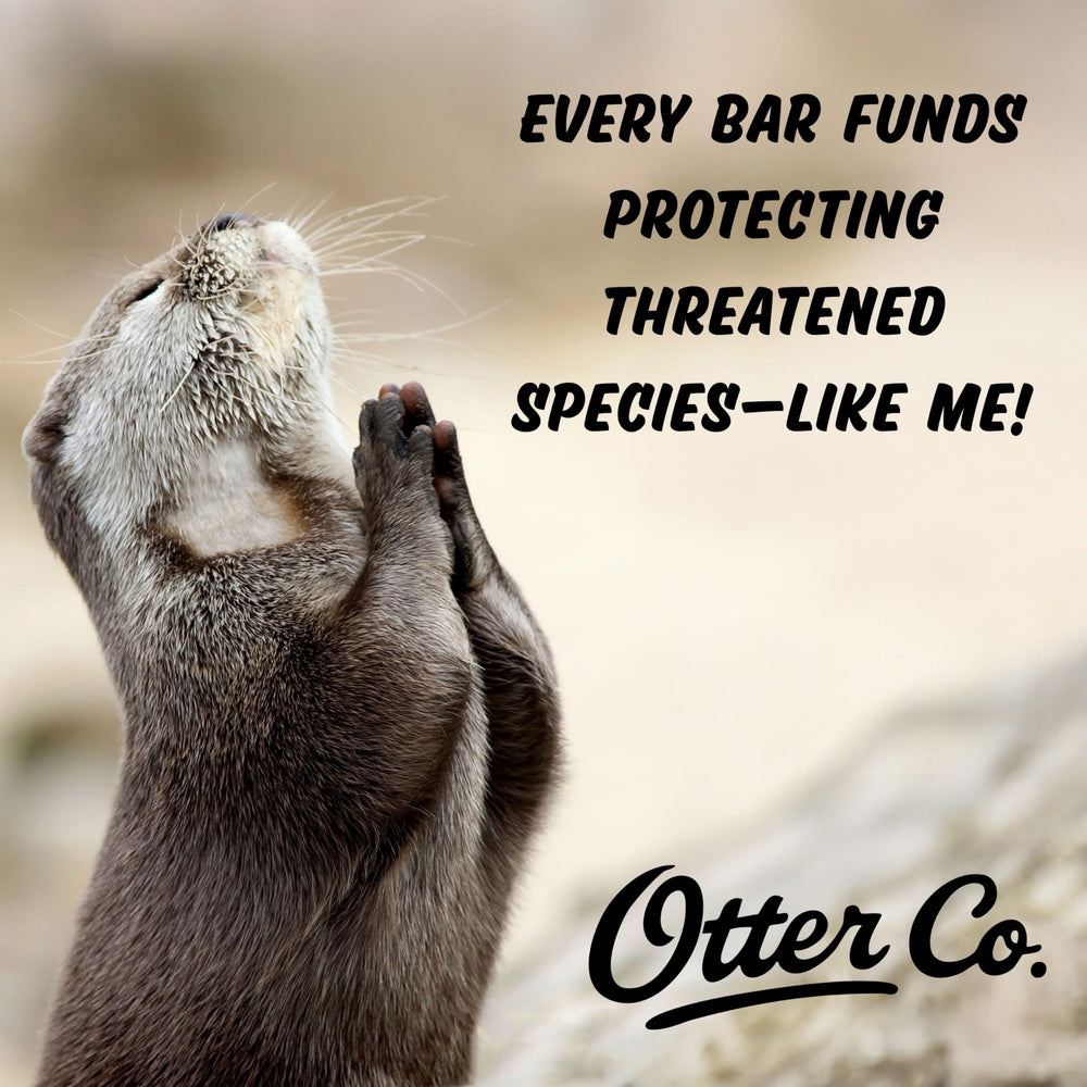 Otter co barra champú dona conservación nutrias, compra con impacto.