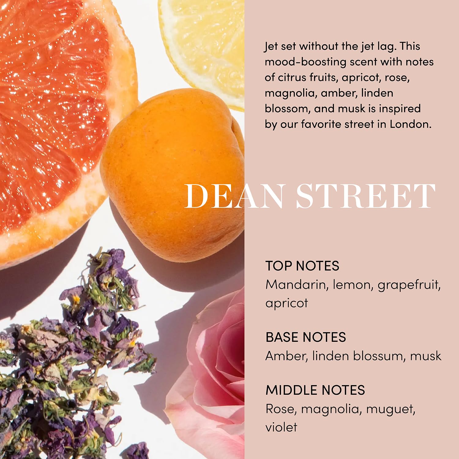 OUAI Dean Street cleanser featuring jojoba oil for deep hydration without residue