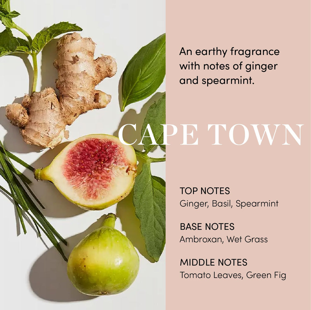 Arctic Root and other ingredients in OUAI Scalp Serum.