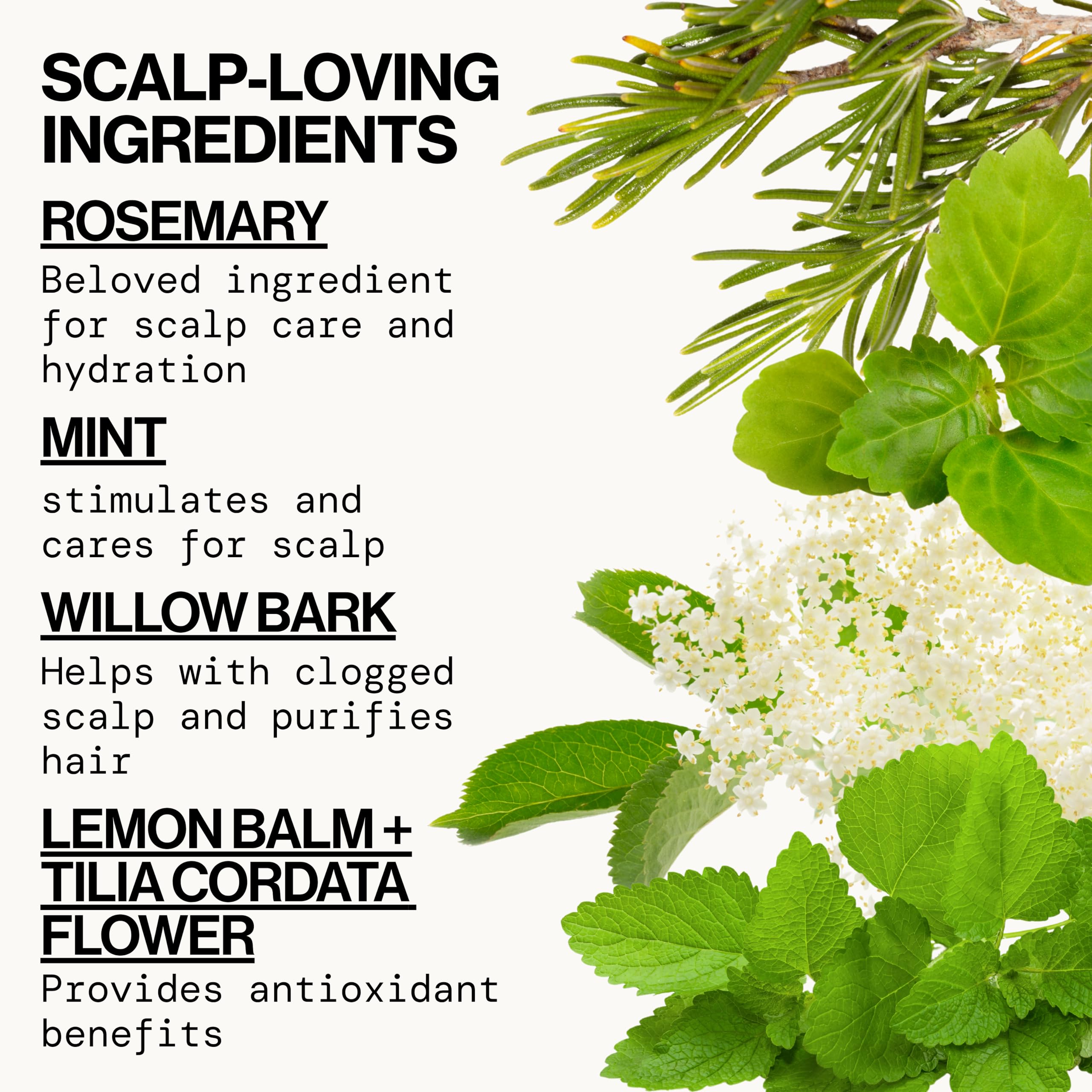 Pacifica Rosemary Purify Shampoo, romero-aromaterapia: aroma herbal para la rutina de lavado.