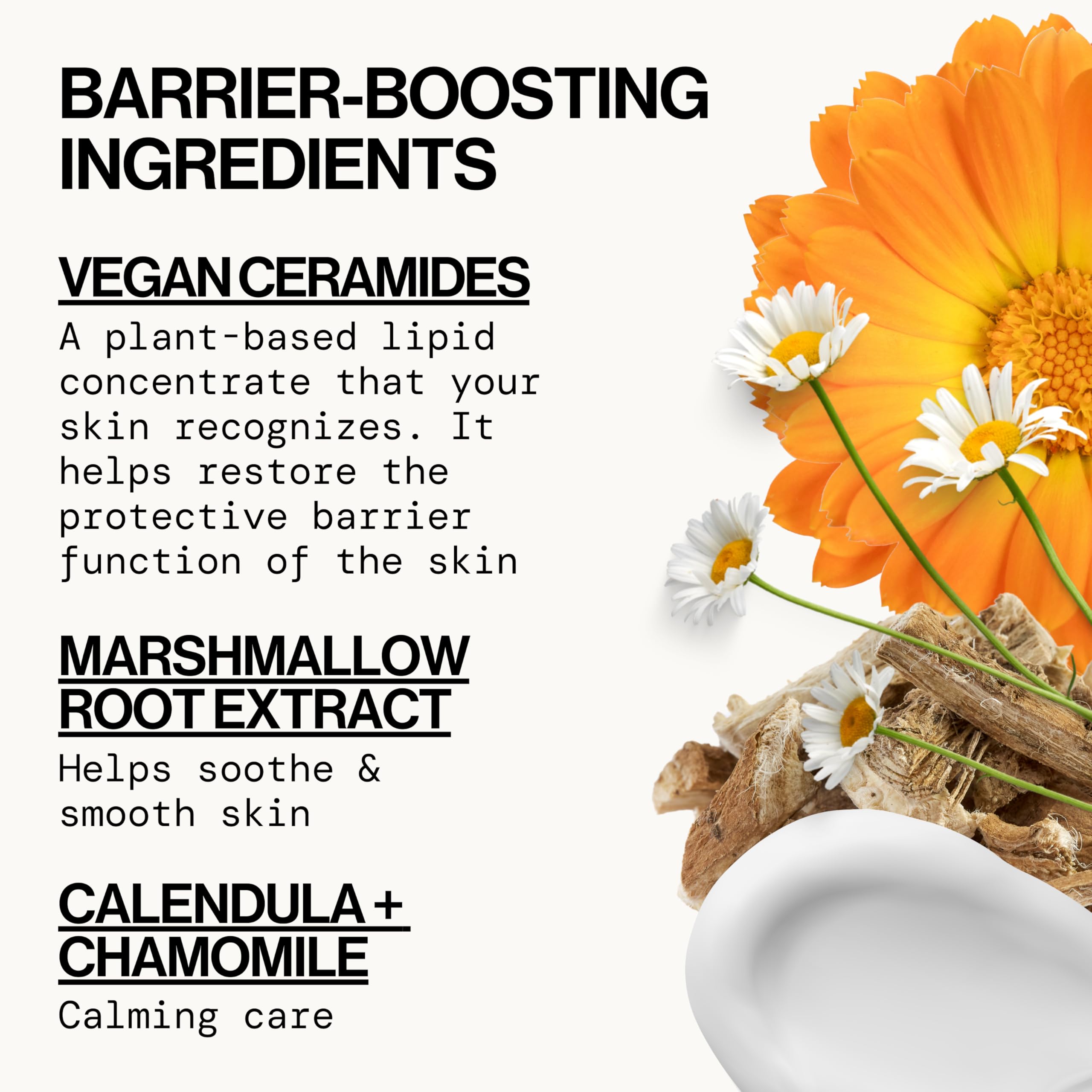 Pacifica fragrance-free formula depicted with soft soothing vibe.
