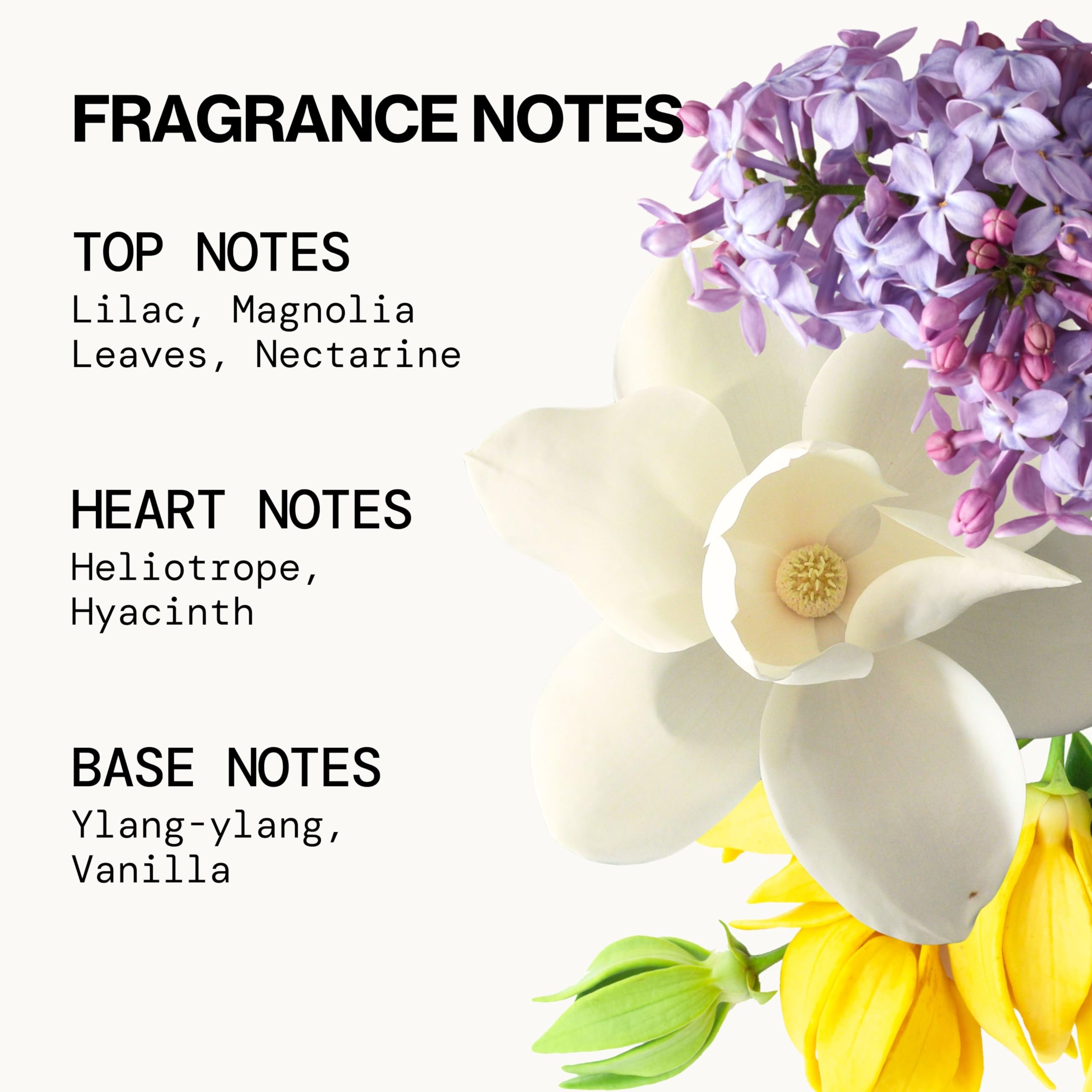 Pacifica French Lilac magnolia leaves illuminate the fragrance