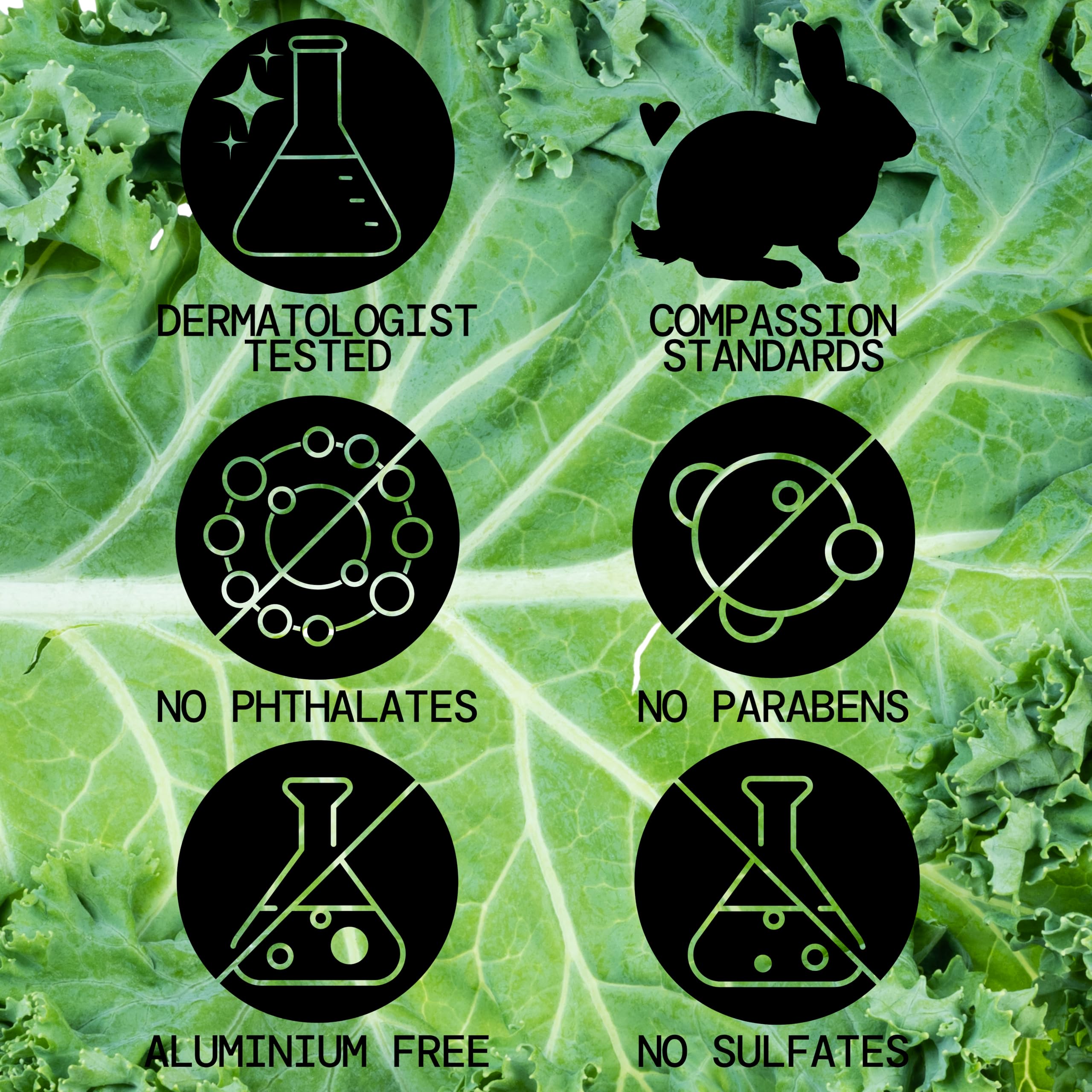Pacifica Kale Yeah! Apple cell extract imagery signals hydration and renewal support.