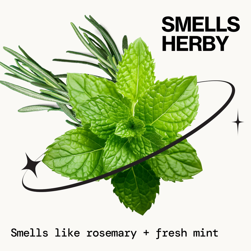 Rinse-down image for Pacifica Rosemary Mint Scalp Detox Shampoo showing clean roots.