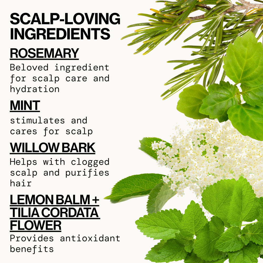Root-volume emphasis of Pacifica Rosemary Mint Scalp Detox Shampoo.