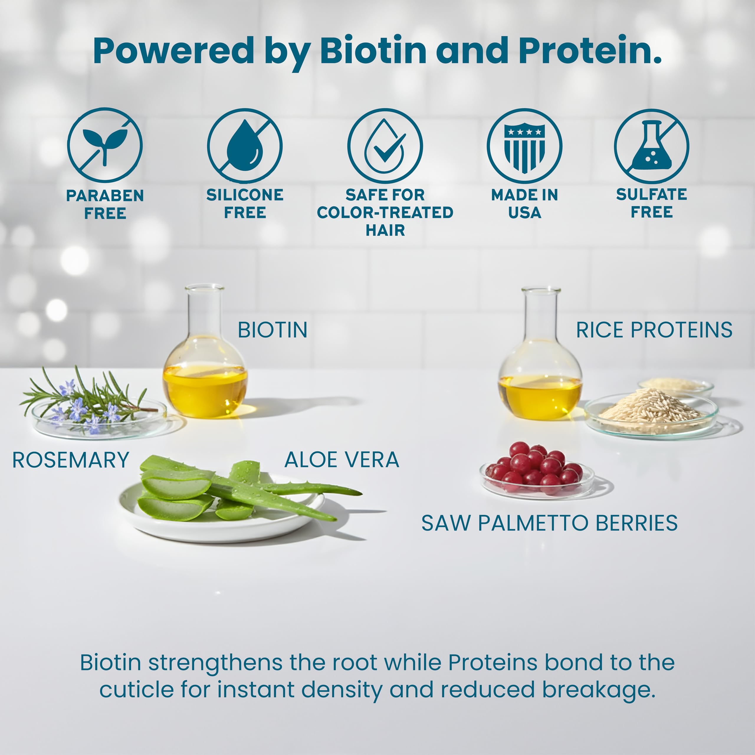 Paisle Botanics Champú – aroma botánico suave para una experiencia diaria.