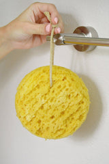 Paradiso Evriholder Sea Foam Sponge hanging by suction cup after bath