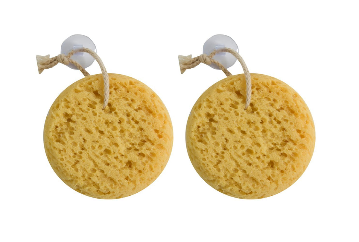 Paradiso Evriholder Sea Foam Sponge set of 2 shown for deep cleansing
