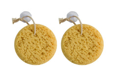 Paradiso Evriholder Sea Foam Sponge set of 2 shown for deep cleansing