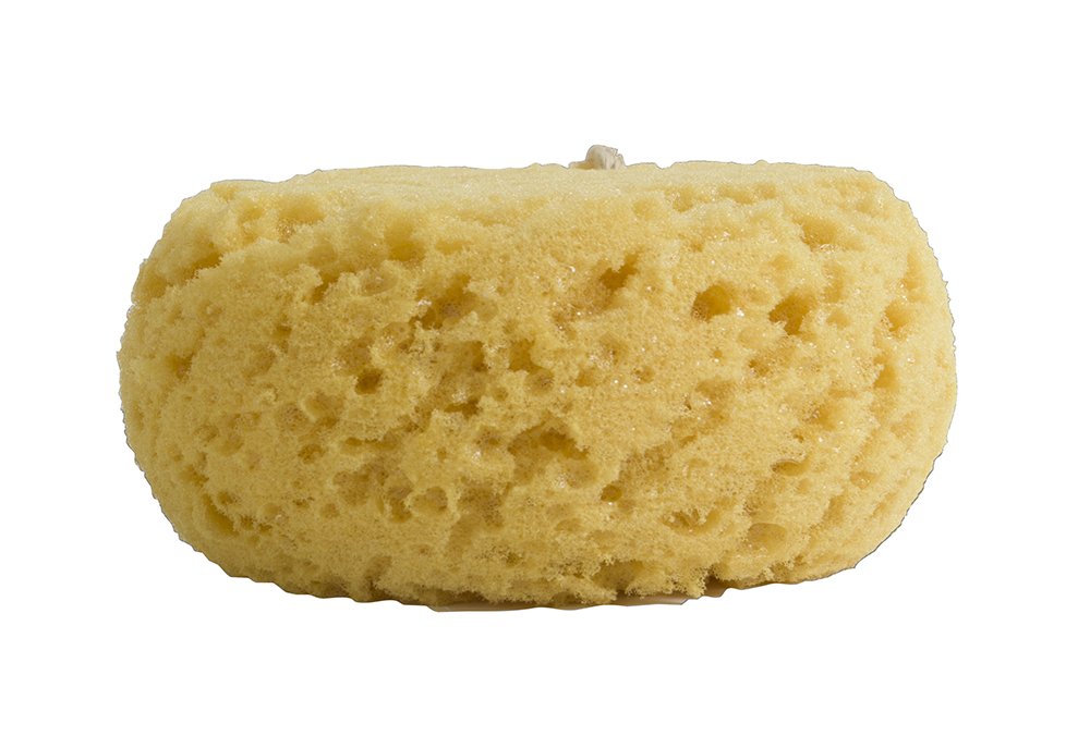 Paradiso Evriholder Sea Foam Sponge texture close-up highlighting gentle exfoliation