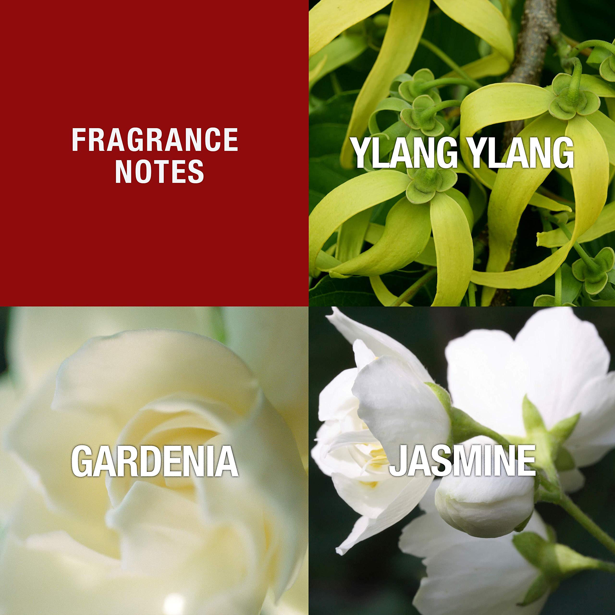 Paul Sebastian spray nozzle detail for smooth fragrance application
