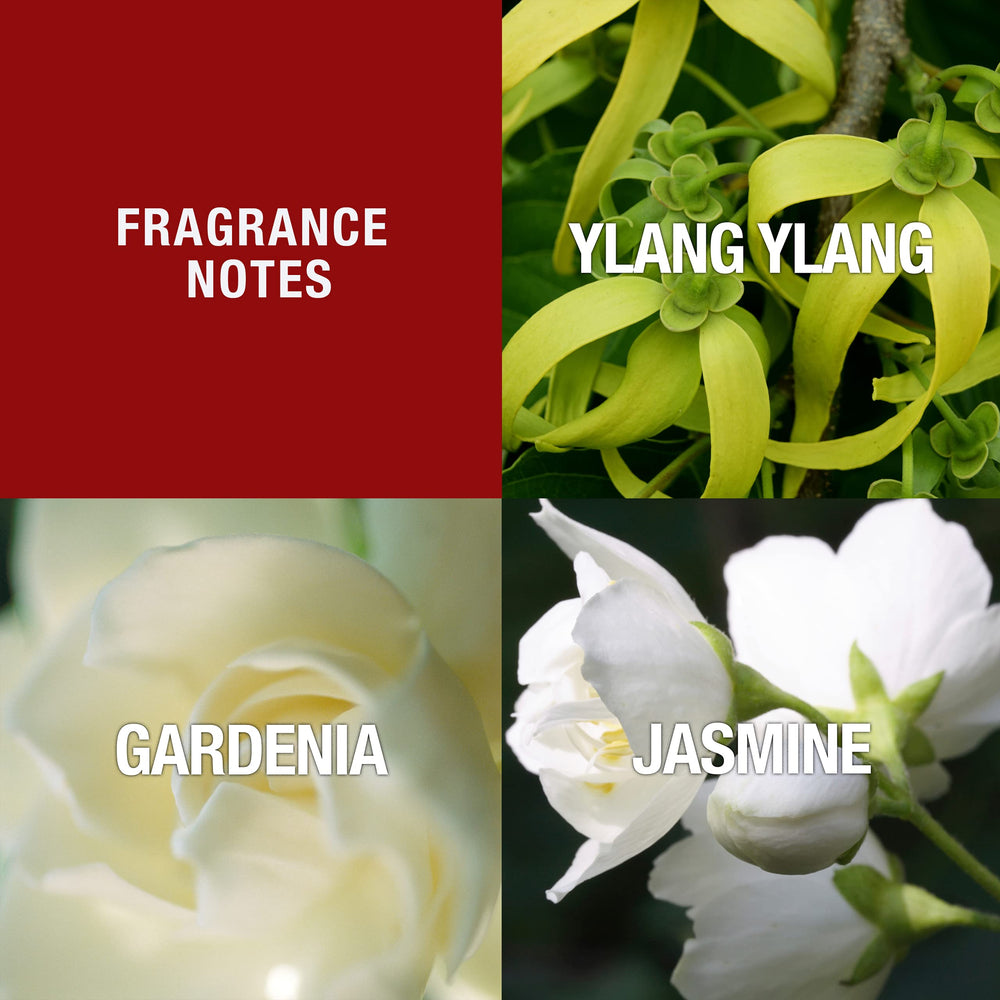 Close-up of oriental floral notes: jasmine, orange blossom, tuberose in Design for Women.