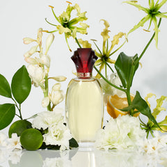 Spray application shot for Paul Sebastian Design for Women, hinting at effortless elegance.