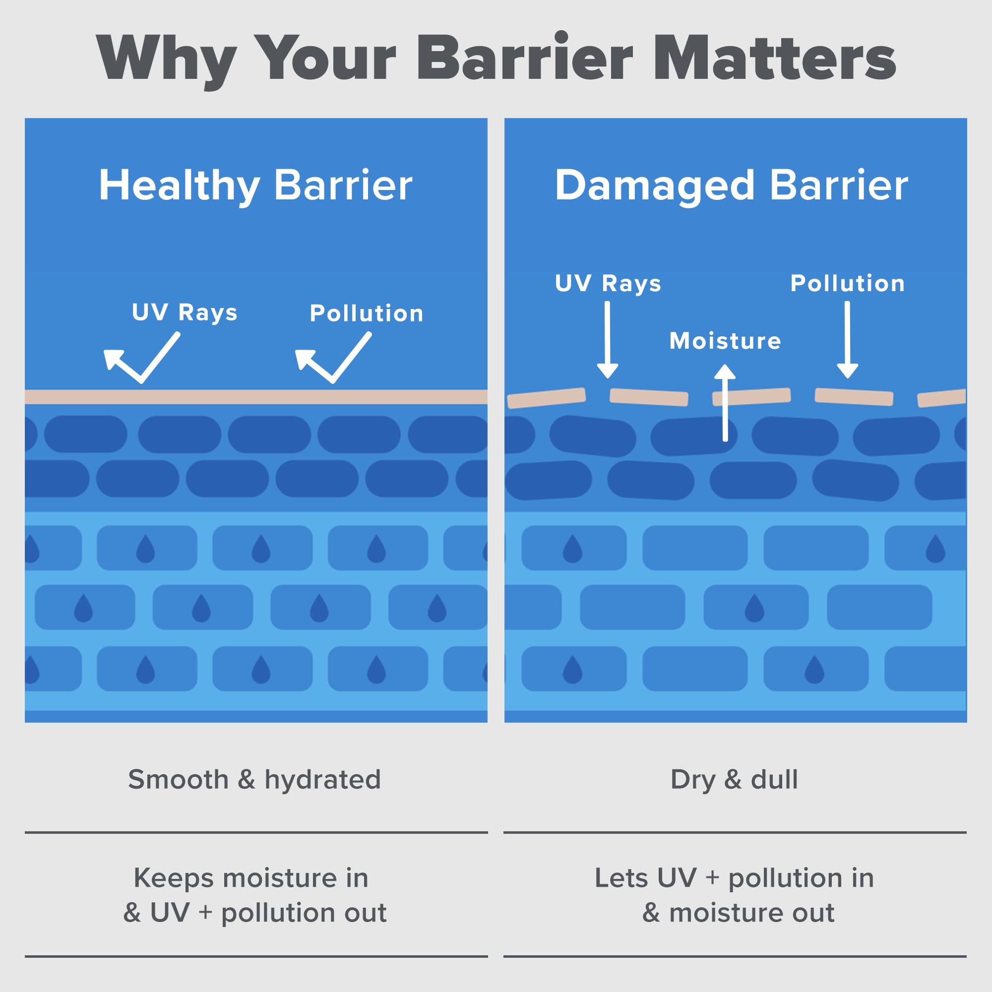 Paula's Choice RESIST Barrier Repair minimalist-packaging conveys simple, science-backed care.