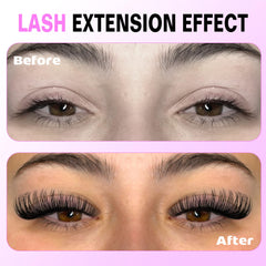 Pawotence cluster lashes preview with versatile length options.