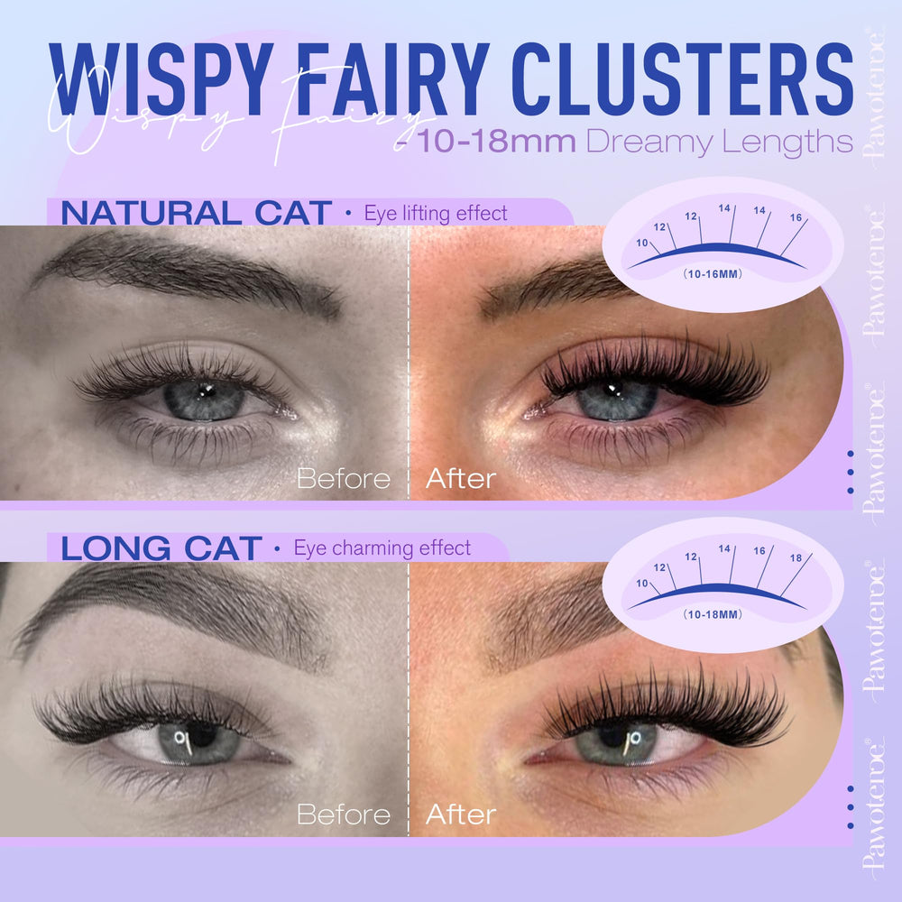 Pawotence wet-look silk lashes for glossy fullness day and night