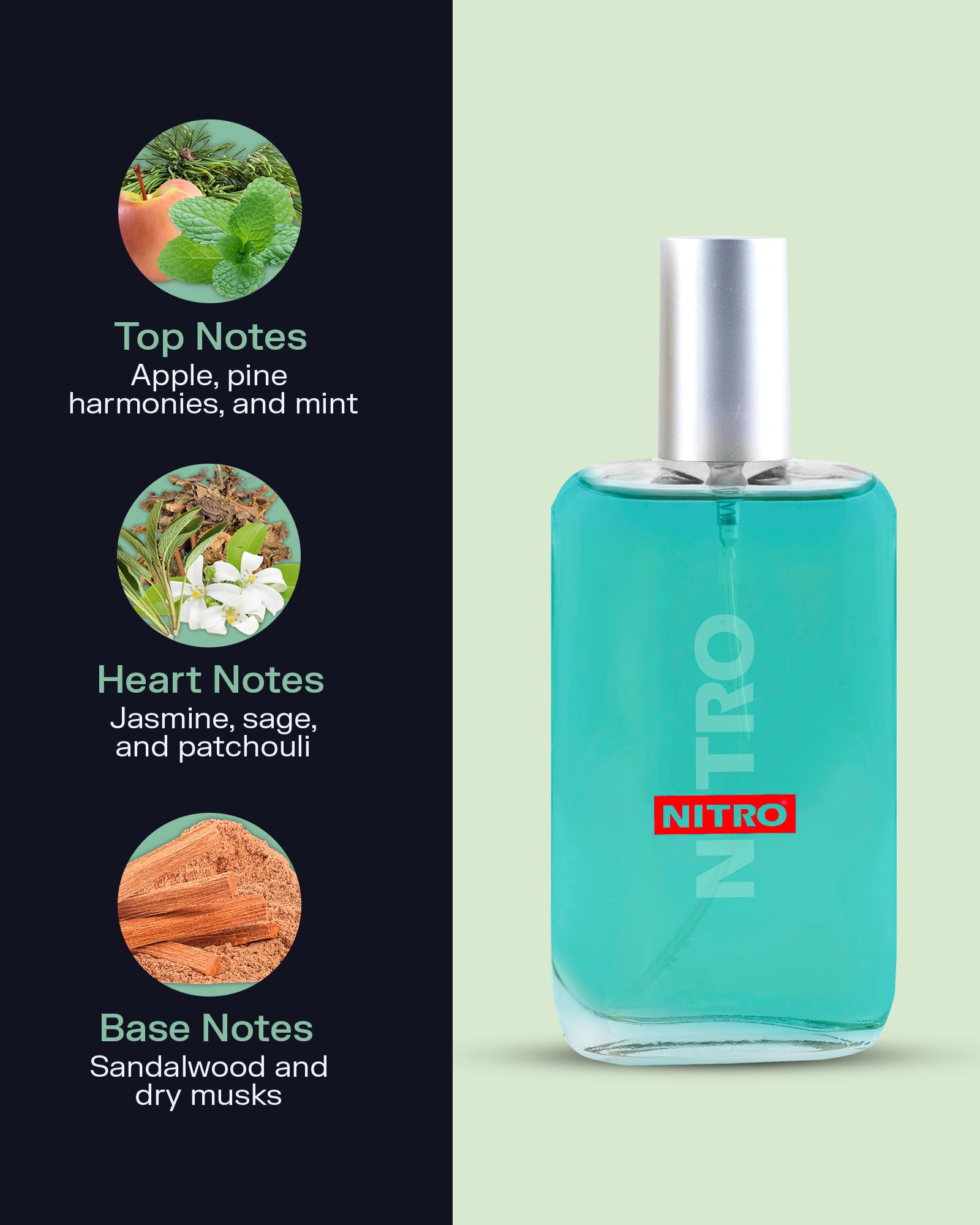 PB ParfumsBelcam Nitro mint-note close-up, cooling touch for daily wear