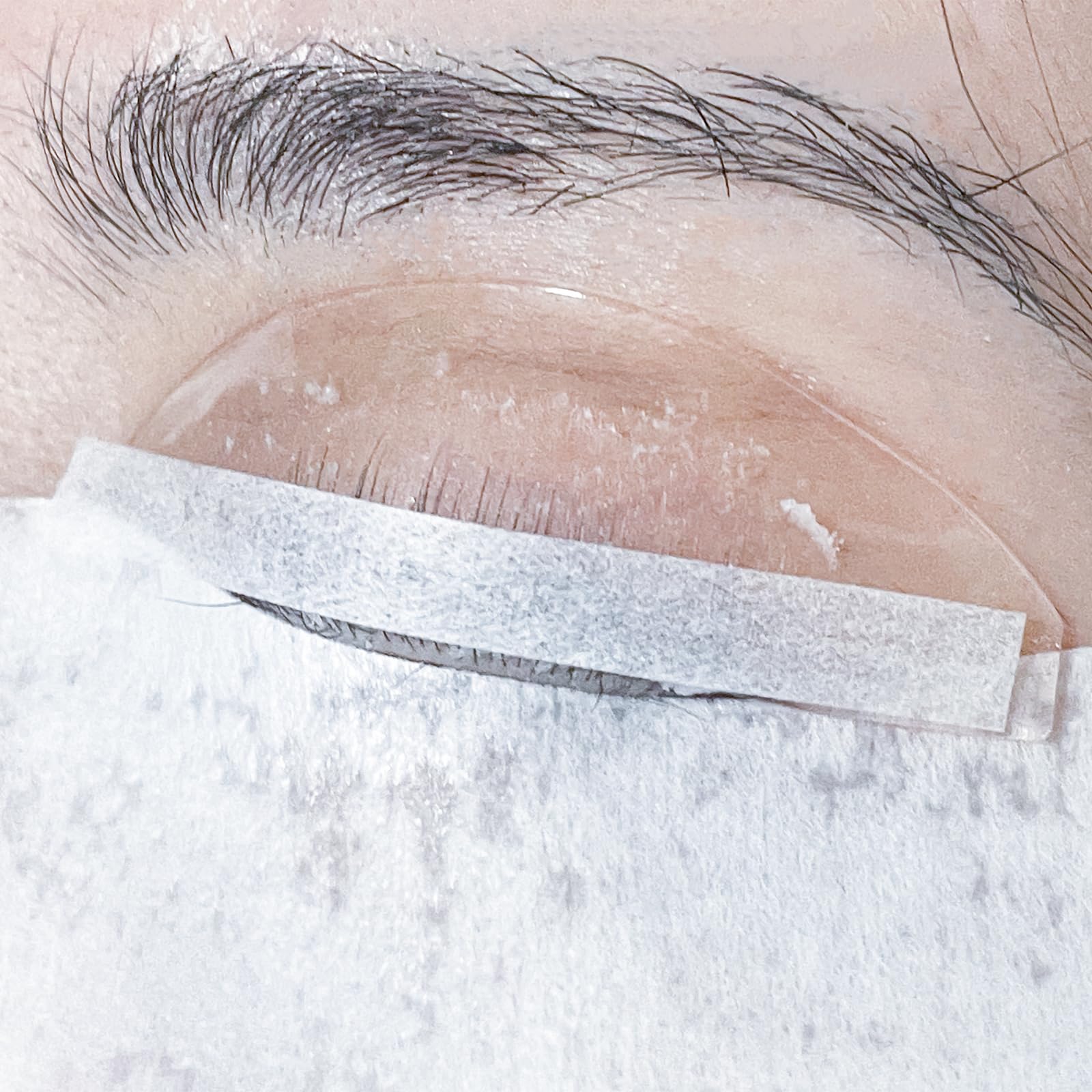 PERMANIA Lash Lift 1000P dentro de caja transparente, almacenamiento práctico.