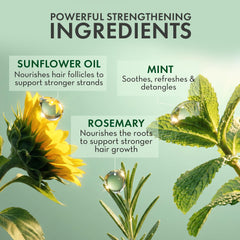 Primer plano del ingrediente arbol-de-te para cuidado capilar