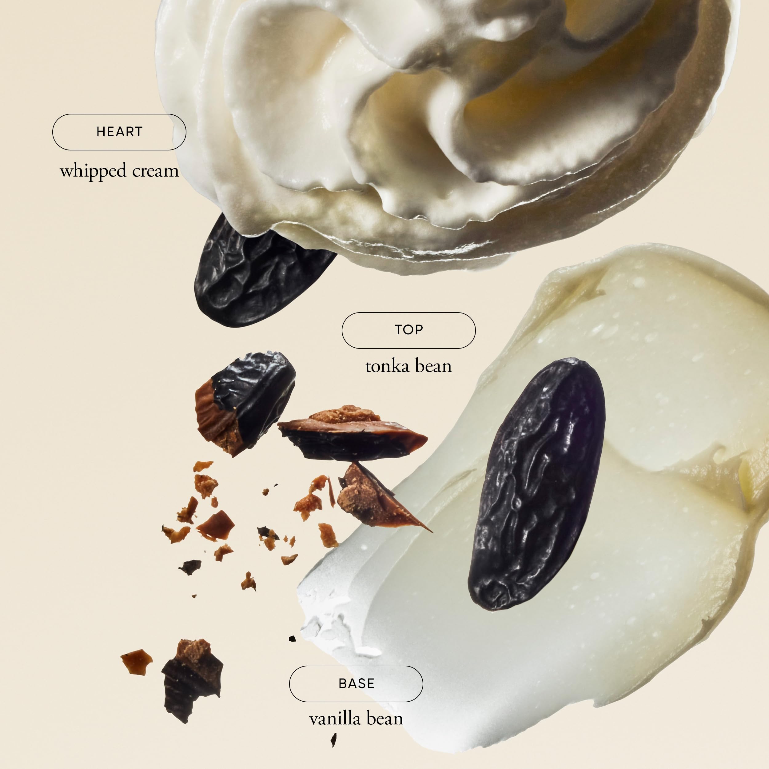 philosophy Fresh Cream notes close-up hint at a delicate floral, powdery finish.