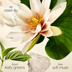 Philosophy Pure Grace bottle close-up highlighting clean soap-and-water notes.