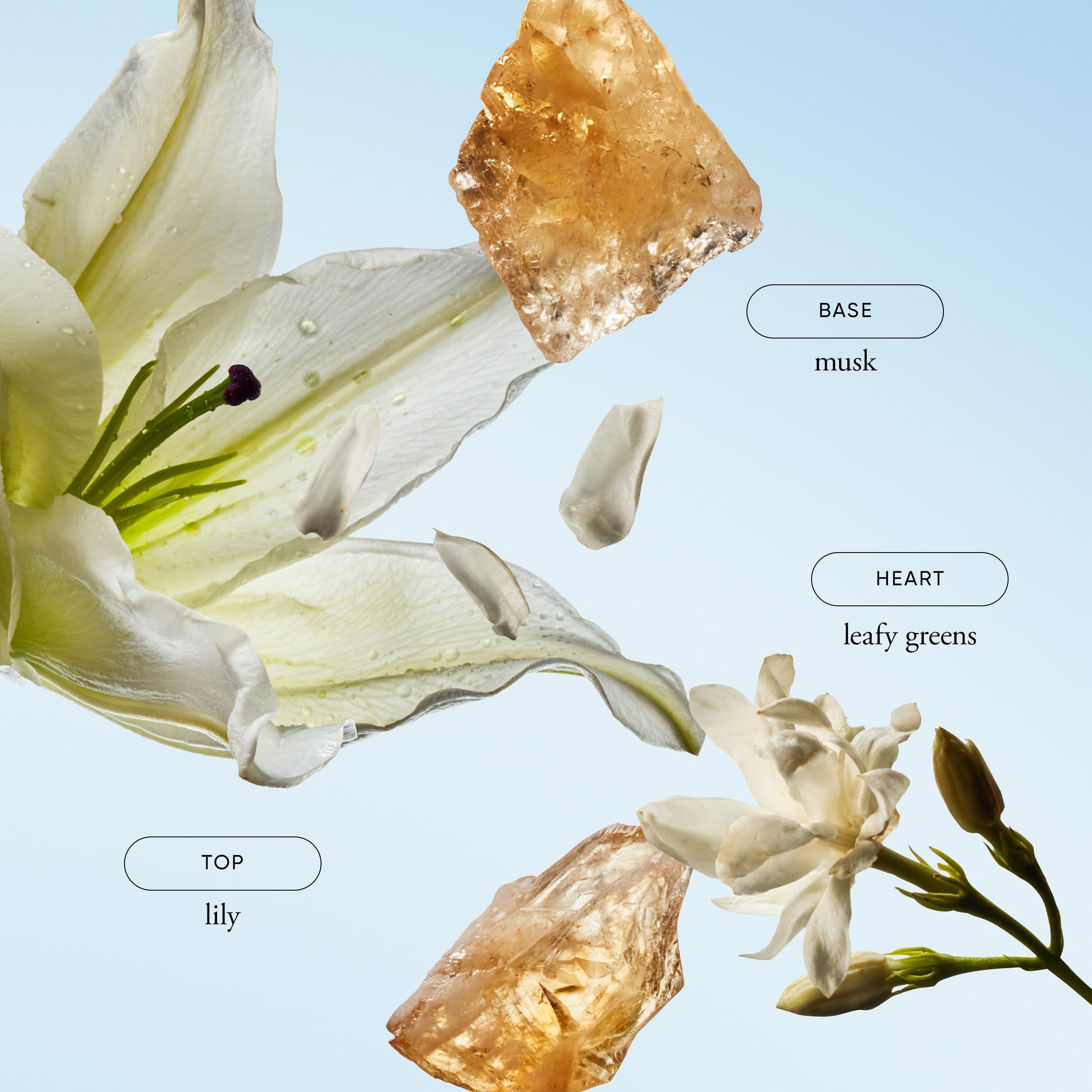 Philosophy Pure Grace creamy foam image shows rich lather for gentle cleansing.
